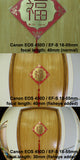 0.25x Fisheye Super Wide Conversion Lens 180 degrees 46mm / 52mm / 55mm / 58mm for Canon Sony Nikon Panasonic Pentax +12.5 macro